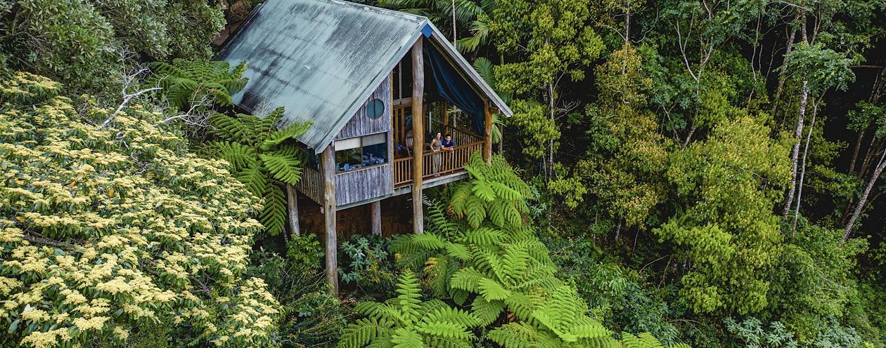 Cabane au dessus de la canopée - Atherton Tablelands - Australie