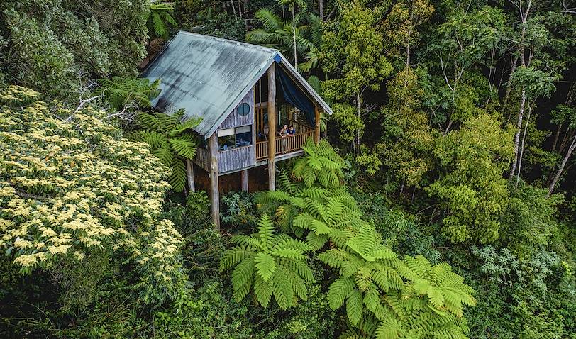 Cabane au dessus de la canopée - Atherton Tablelands - Australie