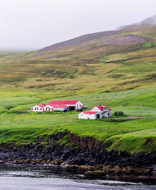 Ferme au toit rouge - Islande