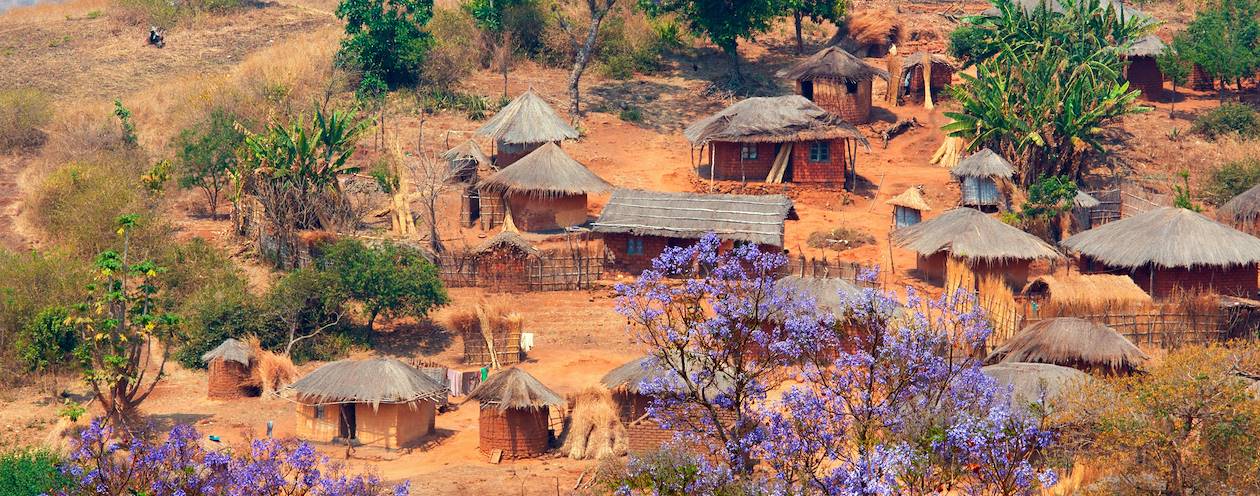 Huttes traditionnelles d'un village - Région de Lilongwe - Malawi