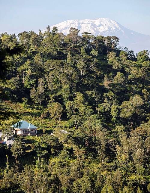 Karama Lodge and Spa : vue sur le Kilimandjaro depuis l'hôtel - Arusha - Nord - Tanzanie