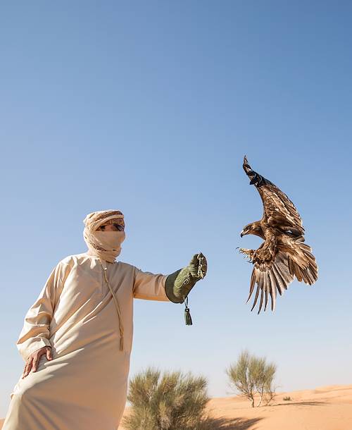 Bédouin et son faucon, oiseau emblématique du pays - Dubai - Emirats Arabes Unis