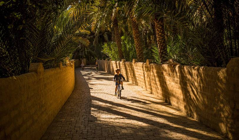 Au coeur de l'Oasis d'Al Ain : la Palmeraie - Al Ain - Emirats Arabes Unis