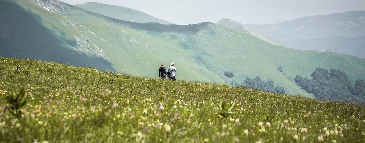 Randonnée à la découverte de la montagne Bjelasica - Monténégro