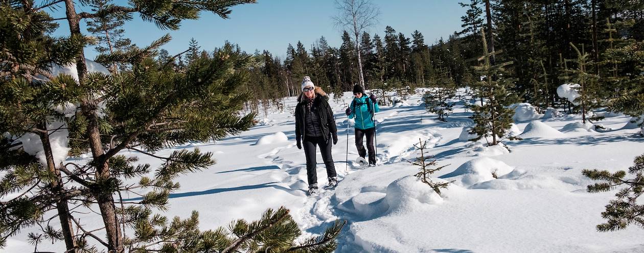 Balade en raquettes - Rovaniemi - Laponie - FInlande 