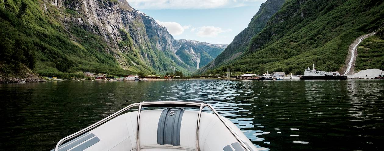 Observation de la faune et de la flore sur le Nærøyfjord, en bateau - Norvège