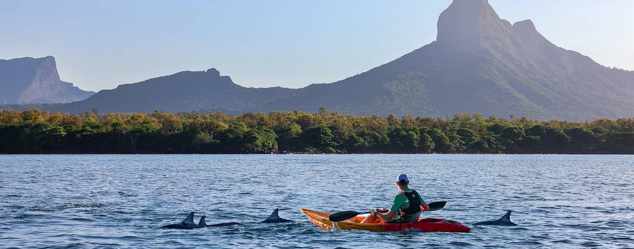 Rencontre avec les dauphins, en kayak - Tamarin - Rivière Noire - Île Maurice