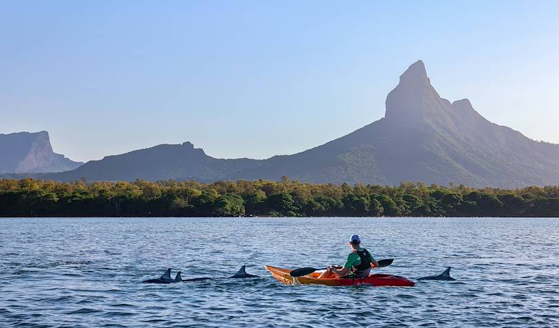 Rencontre avec les dauphins, en kayak - Tamarin - Rivière Noire - Île Maurice