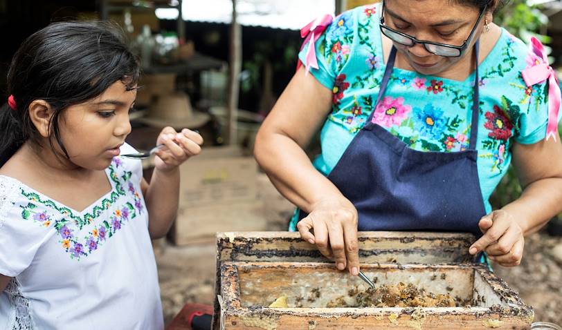 Découverte de la culture maya à Tekit : Ana, apicultrice, et son miel d'abeilles melipona - Yucatan - Mexique
