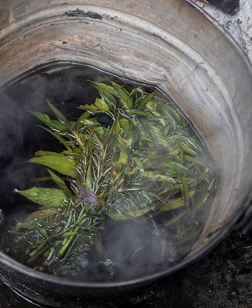 Découverte du temazcal : bain de vapeur cérémoniel traditionnel - Mexico - Mexique