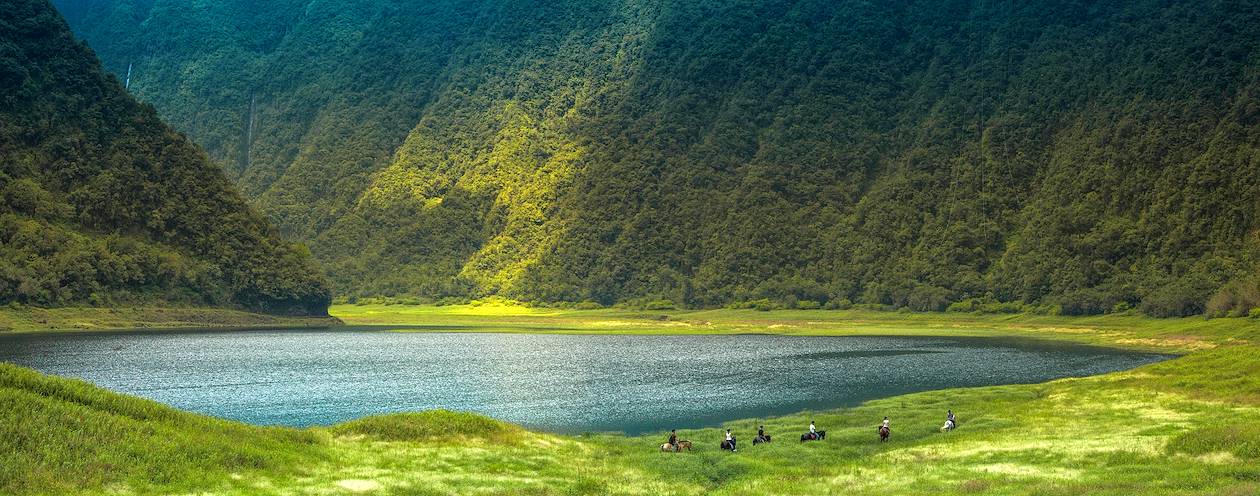 Randonnée équestre dans la Plaine des Palmistes : découverte du Grand-Etang - St Benoit- La Réunion