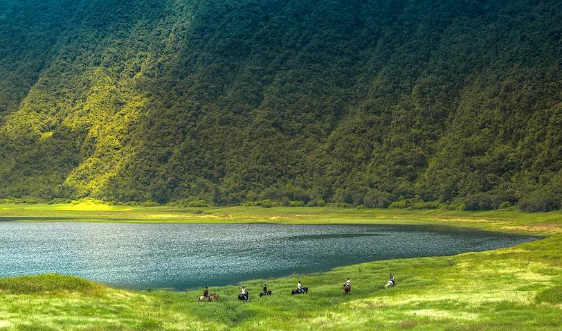 Randonnée équestre dans la Plaine des Palmistes : découverte du Grand-Etang - St Benoit- La Réunion