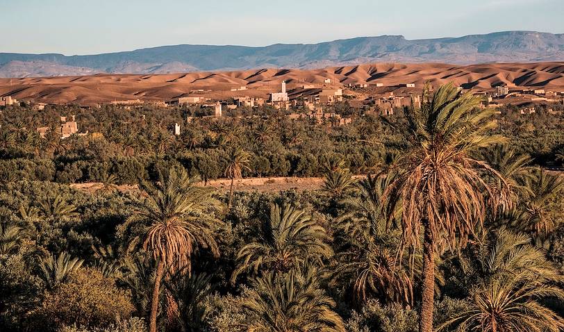 Palmeraie de Skoura - Maroc