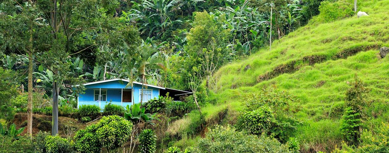 Finca dans une plantation de café de Cedral - Province de San José - Costa Rica