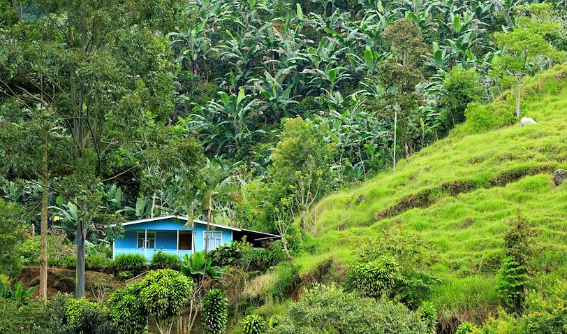 Finca dans une plantation de café de Cedral - Province de San José - Costa Rica