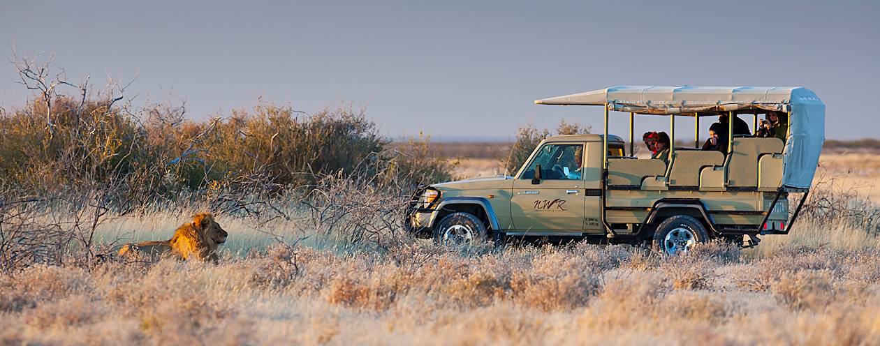 Faites équipe avec un ranger : safari en 4x4 dans le parc d'Etosha - Etosha Centre - Namibie
