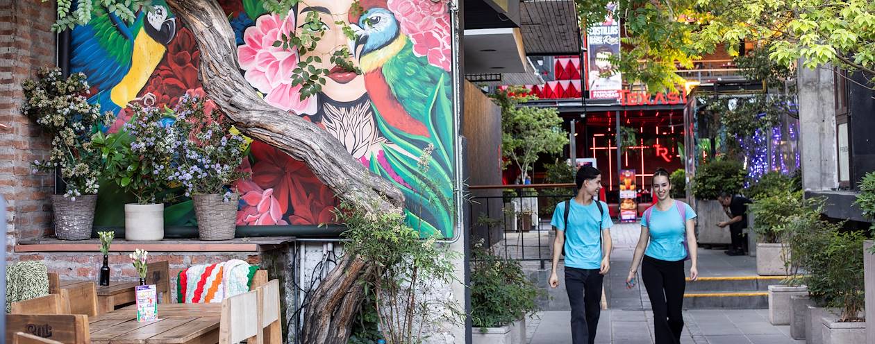 Street art dans le quartier de Bellavista - Santiago - Chili