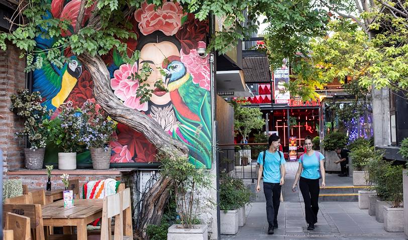 Street art dans le quartier de Bellavista - Santiago - Chili