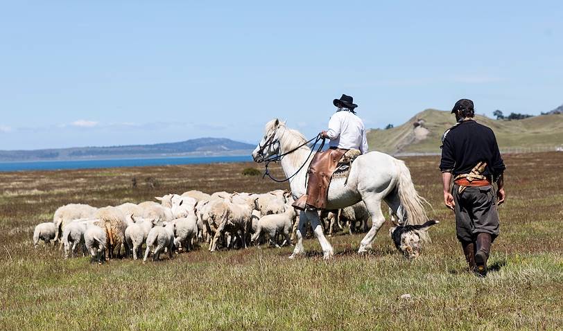 Découverte de la vie d'une estancia et rencontre avec les gauchos - Puerto Natales - Magallanes - Chili