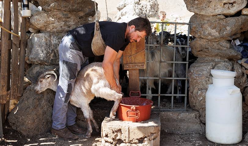 Immersion dans la vie d'un berger crétois dans les montagnes de Psiloritis - Gergeri - Crète - Grèce