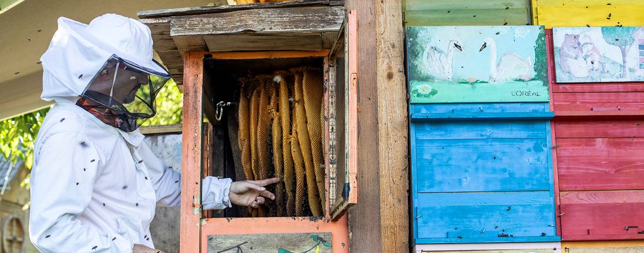 Slovénie, royaume des abeilles : rencontre avec la famille Ambrozic, apiculteurs à Bled - Slovénie