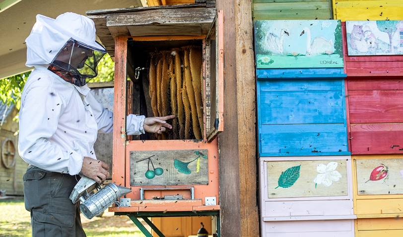 Slovénie, royaume des abeilles : rencontre avec la famille Ambrozic, apiculteurs à Bled - Slovénie