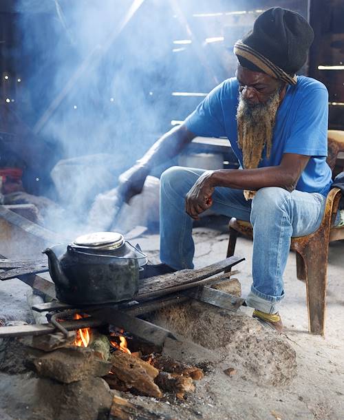 Découverte d'une plantation de café dans les Blue Mountains - Saint Andrew - Jamaïque