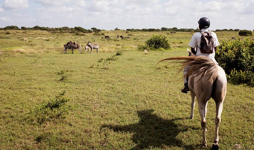 Balade à cheval sur la plage et dans la réserve de Santa Lucia - Santa Lucia - KwaZulu-Natal - Afrique du Sud