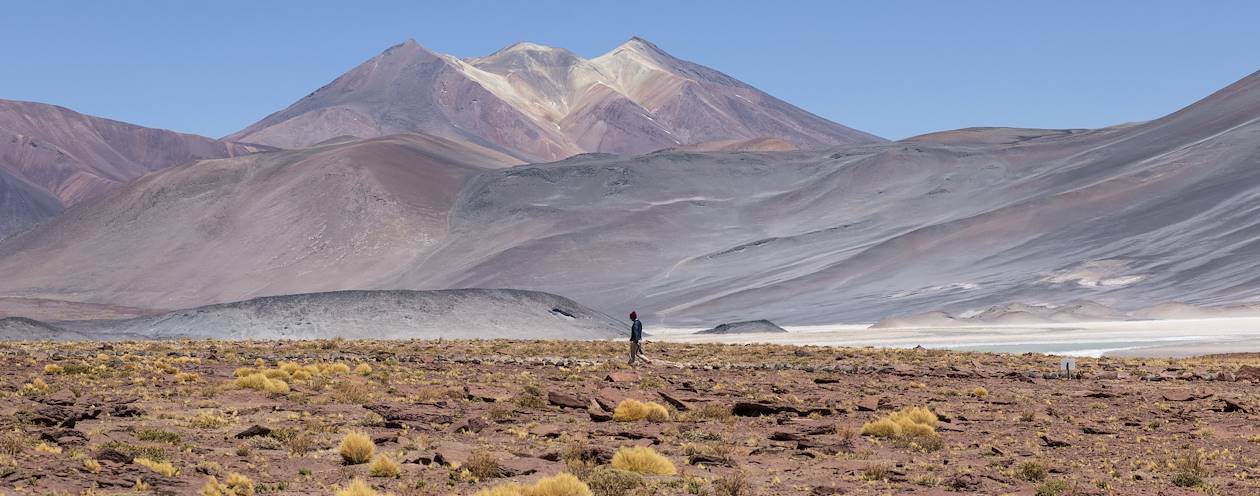 Salar de Talar, le désert de sel - Désert d'Atacama - Antofagasta - Chili