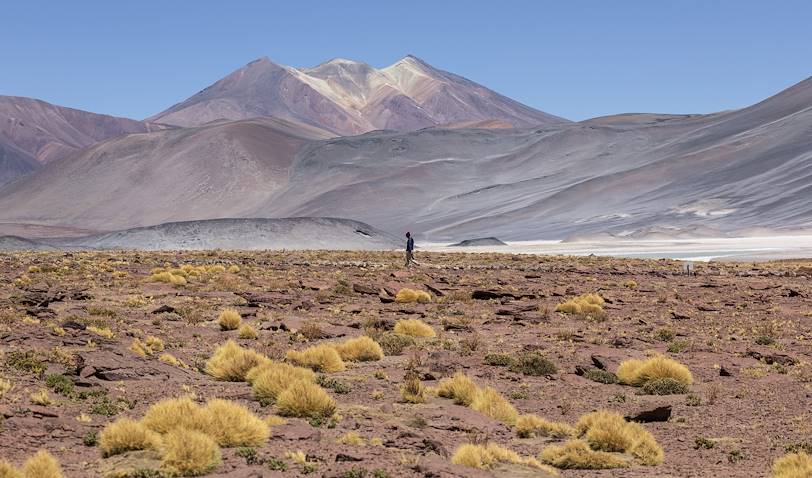 Salar de Talar, le désert de sel - Désert d'Atacama - Antofagasta - Chili