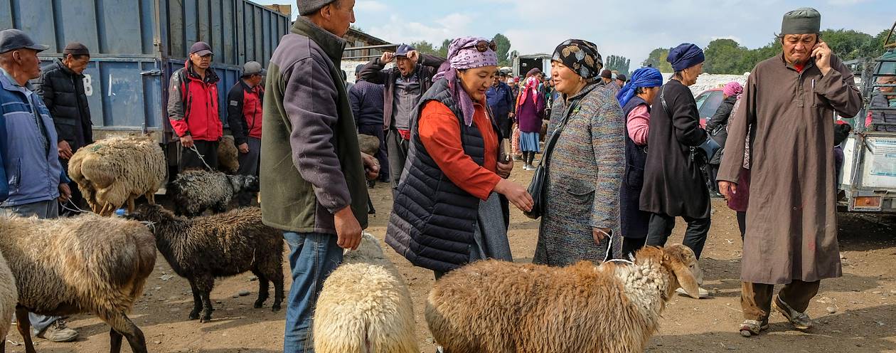 Scène de vie sur le marché au bétail de Kochkor - Kirghizistan