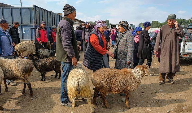 Scène de vie sur le marché au bétail de Kochkor - Kirghizistan