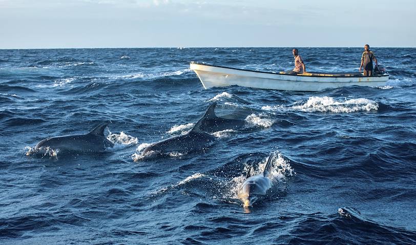 Découverte des dauphins au large de l'île - Kizimkazi - Zanzibar Cote Est - Tanzanie