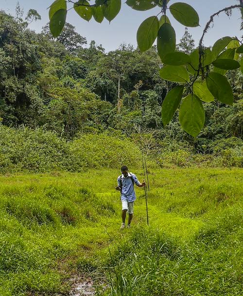 Lagoa Amelia - Parc naturel Obô - Sao Tomé - Sao Tomé-et-Principe