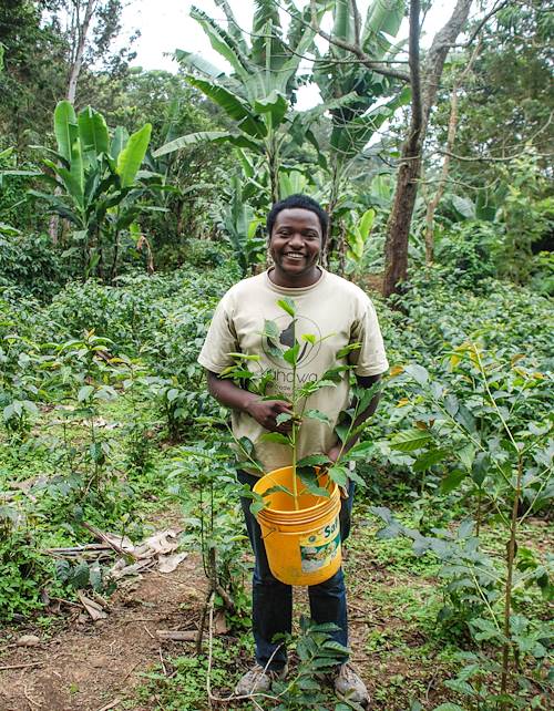 Découverte des plantations de café à Arusha - Région d'Arusha - Tanzanie