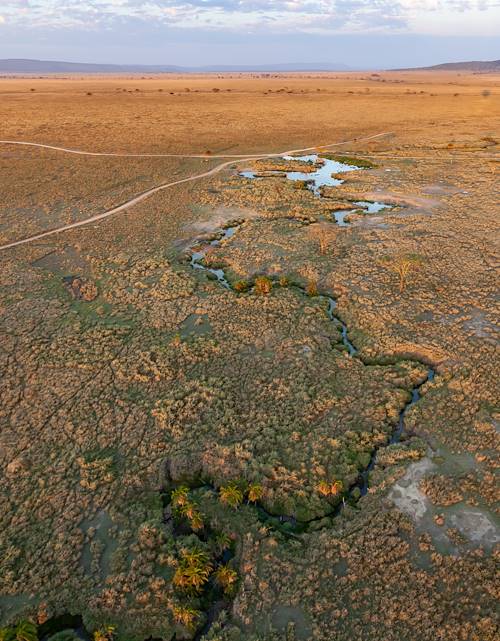 Serengeti vu du ciel, dans une montgolfière - Parc du Serengeti - Tanzanie