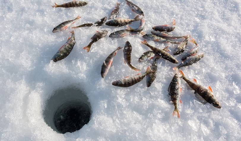 Pêche au trou, aussi appelée pêche blanche - Finlande