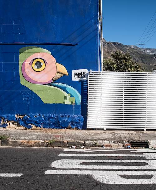Le quartier de Woodstock et ses fresques murales - Le Cap - Afrique du Sud