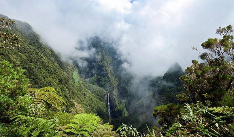 Trou de Fer - Salazie - La Réunion