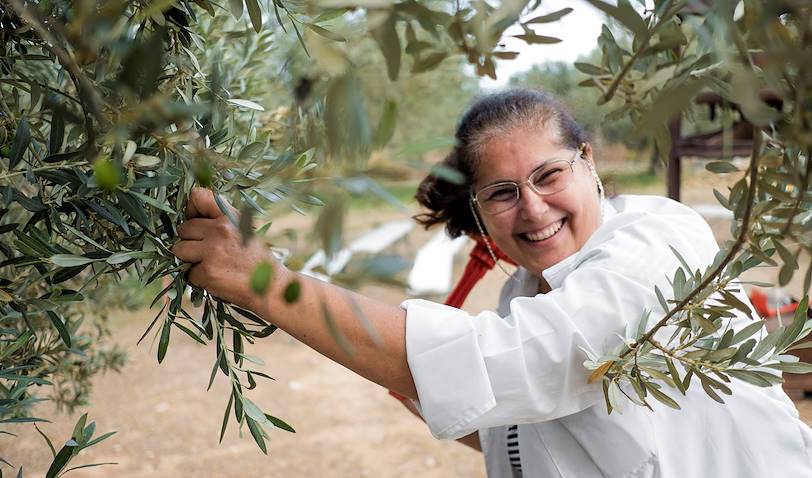 Balade autour de l'huile d'olive - Nauplie - Péloponnèse - Grèce
