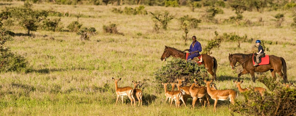 Balade à cheval et découverte de la faune au Kenya