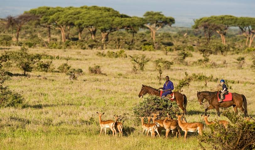 Balade à cheval et découverte de la faune au Kenya