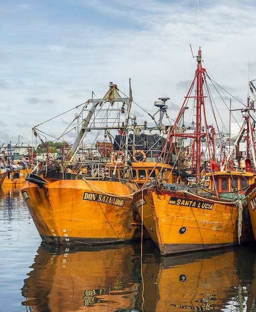 Bateaux de pêche - Argentine