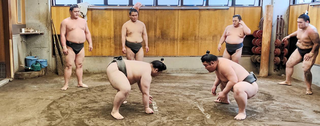 Visite d'une écurie de sumo à Tokyo - Japon