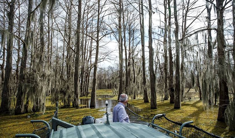 Le bayou Atchafalaya en bateau - Louisiane - Etats Unis