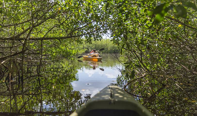 Kayak dans les Everglades - Floride - Etats Unis