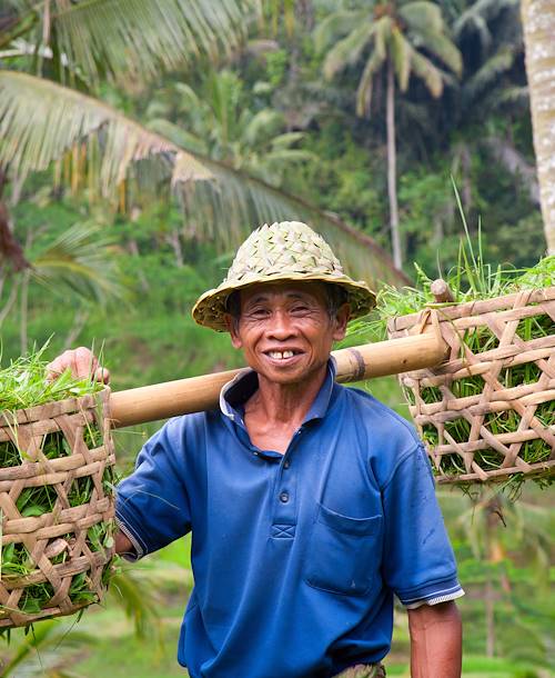Portrait d'un fermier Indonésien - Bali - Indonésie