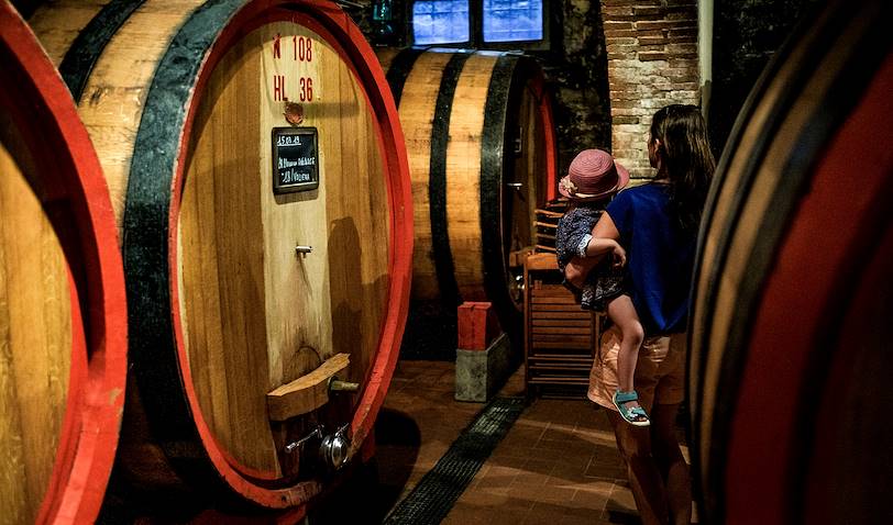 Dégustation de vins au Castello Di Albola - Radda in Chianti - Toscane - Italie