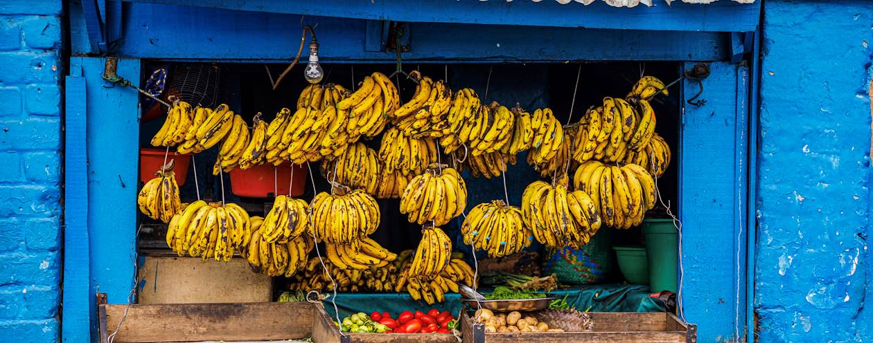 Epicerie de fruits à Antananarivo - Madagascar