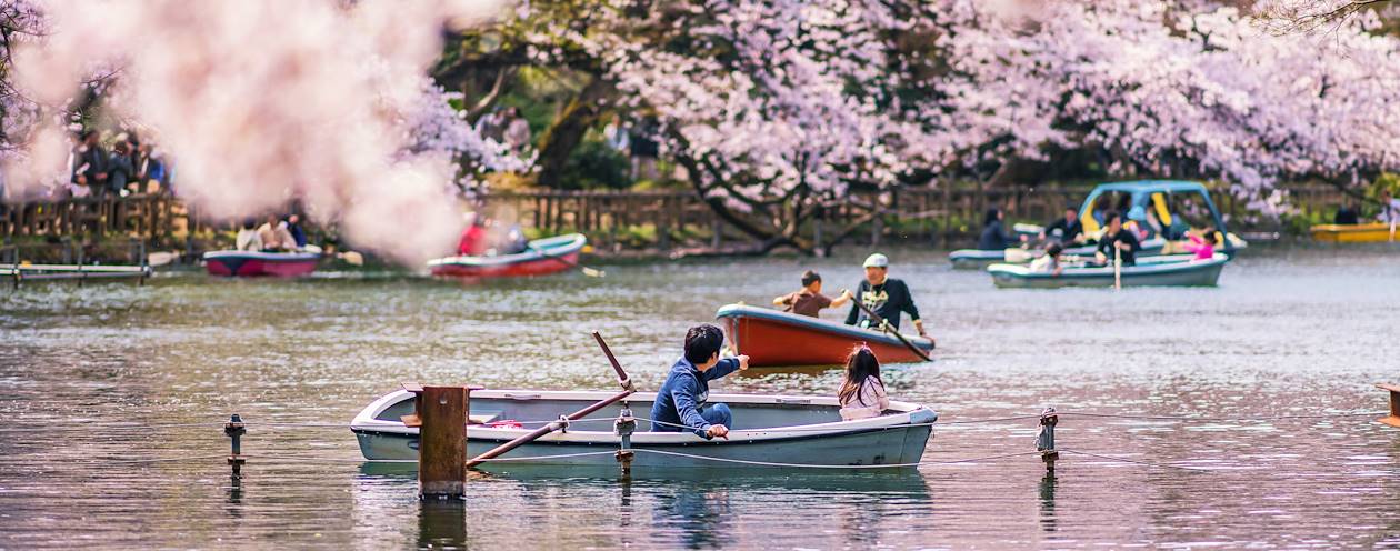 Scène de vie dans le parc Inokashira - Tokyo - Japon